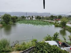 -翠田Green Field Kitchen