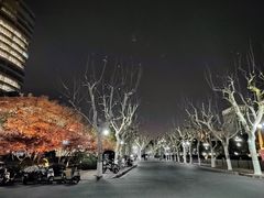 -一尺花园(安和花园店)