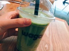 -Wagas沃歌斯(大学路店)
