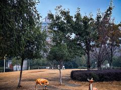 -沙河三洞古桥公园