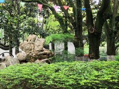 -瀛洲公园