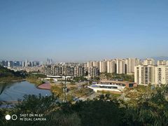 -飞凤山奥体公园