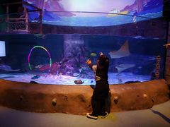 -沈阳海洋探索中心