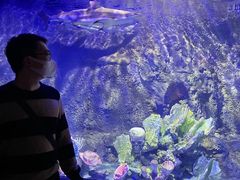 -太平洋海底世界