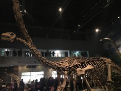 -自贡恐龙博物馆