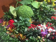 -新世界百货(顺义店)