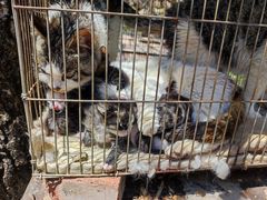 -蟠龙山长城景区