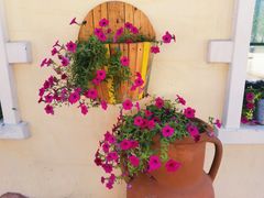 -杜氏旅游度假区