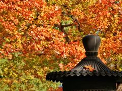 -香山公园