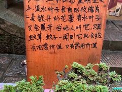 -江西龙虎山景区
