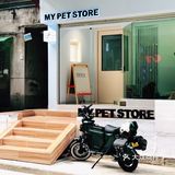 德政中老城中的宠物店