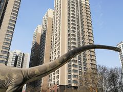 -陕西自然博物馆