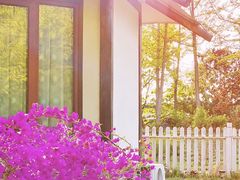 -北京国际鲜花港