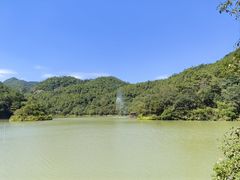 -广州白江湖森林公园