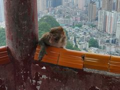 -黔灵山公园