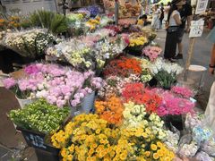 -循礼门鲜花花市(武汉循礼门店)
