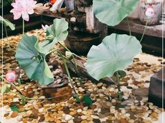 -香浙汇(望京店)