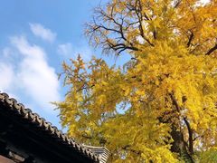 -无锡惠山寺