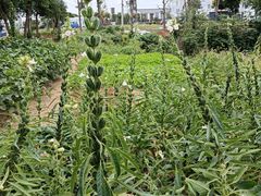 -八仙台服务区-停车场