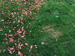 -上海市龙华烈士陵园