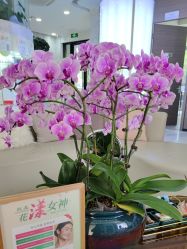 -上海漾颜医疗美容