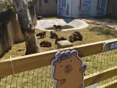-南昌动物园