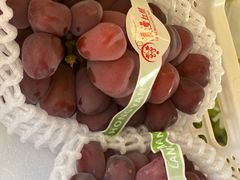 -马陆小张葡萄园农家乐