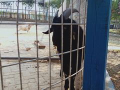 -武汉紫薇都市田园