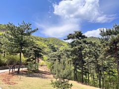 -北京西山国家森林公园