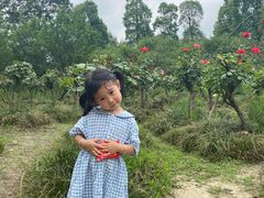 -白鹭湾湿地公园