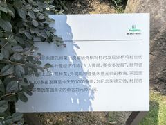 -龙坞茶村