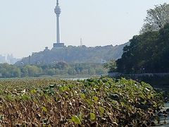 -月湖风景区