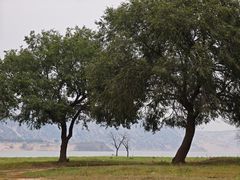 -西拉沐沦大峡谷园区