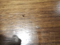 -阿娜尔·新疆菜(宜家荟聚中心店)