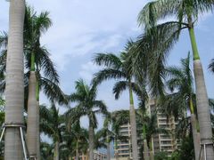 DSC08740-深圳大梅沙京基洲际度假酒店