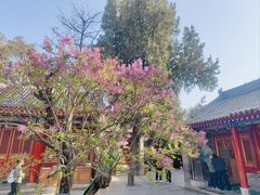 -西安市广仁寺