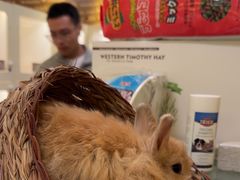 -龙猫仔乐园(惠福东路店)