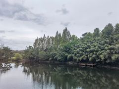 -东平国家森林公园