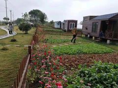 -龙湖东院农庄(乡间小路店)