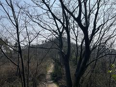 -巢湖姥山岛