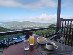 -三亚亚龙湾人间天堂鸟巢度假村