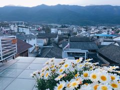 -唐咖精品咖啡(大理古城手冲店)