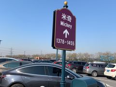 -迪士尼乐园停车场