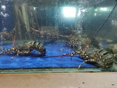 -友鹏海鲜(新宜白大道店)