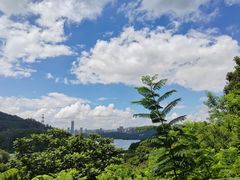 -深圳仙湖植物园