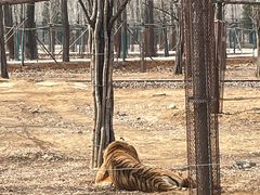 -秦皇岛野生动物园