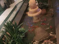 -青泰足浴·SPA养生连锁(新区店)