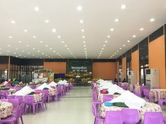 -东芭乐园