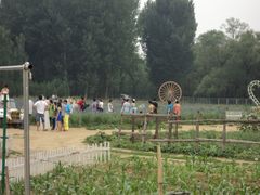 景点-北京东方普罗旺斯薰衣草庄园