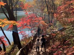 -龙道沟景区
